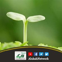 القرض الحسن كصدقة بمثل القرض كل يوم