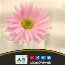 عفة النفس: فضائلها وأنواعها (خطبة)