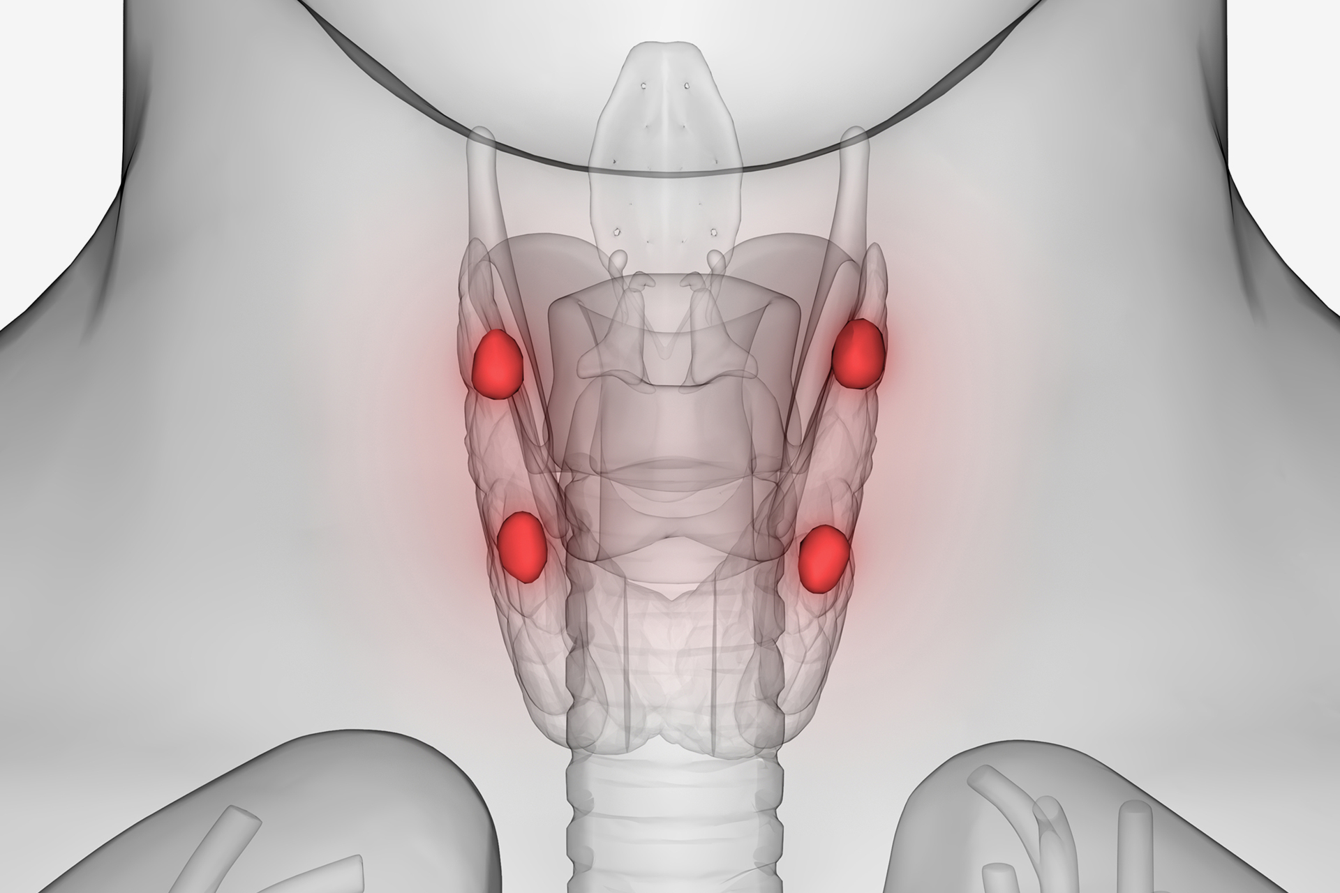 تعرف على الغدد جارات الدرقية وأمراضها