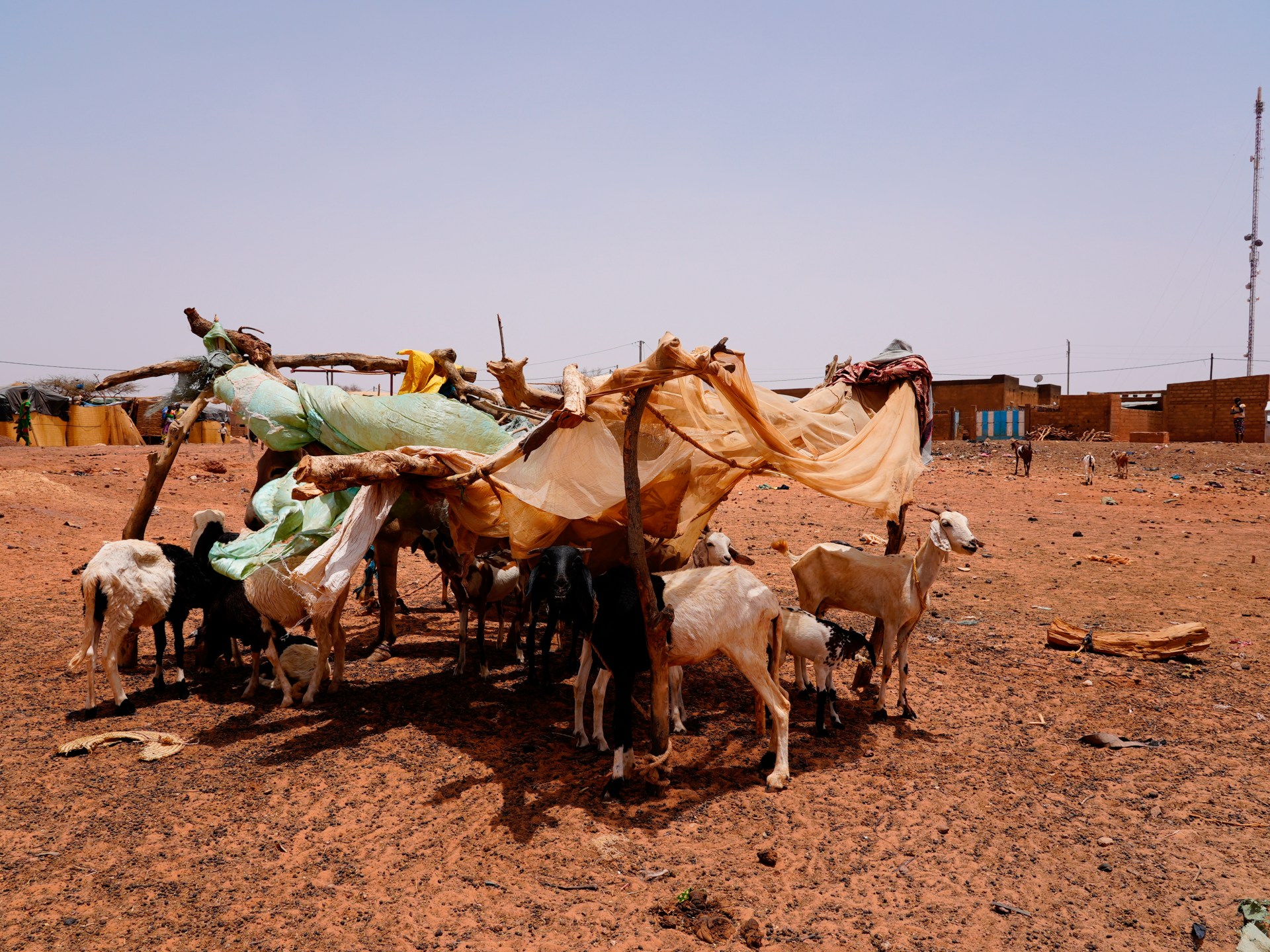 تقرير دولي: تغير المناخ يفاقم الجوع وانعدام الأمن والنزوح في أفريقيا