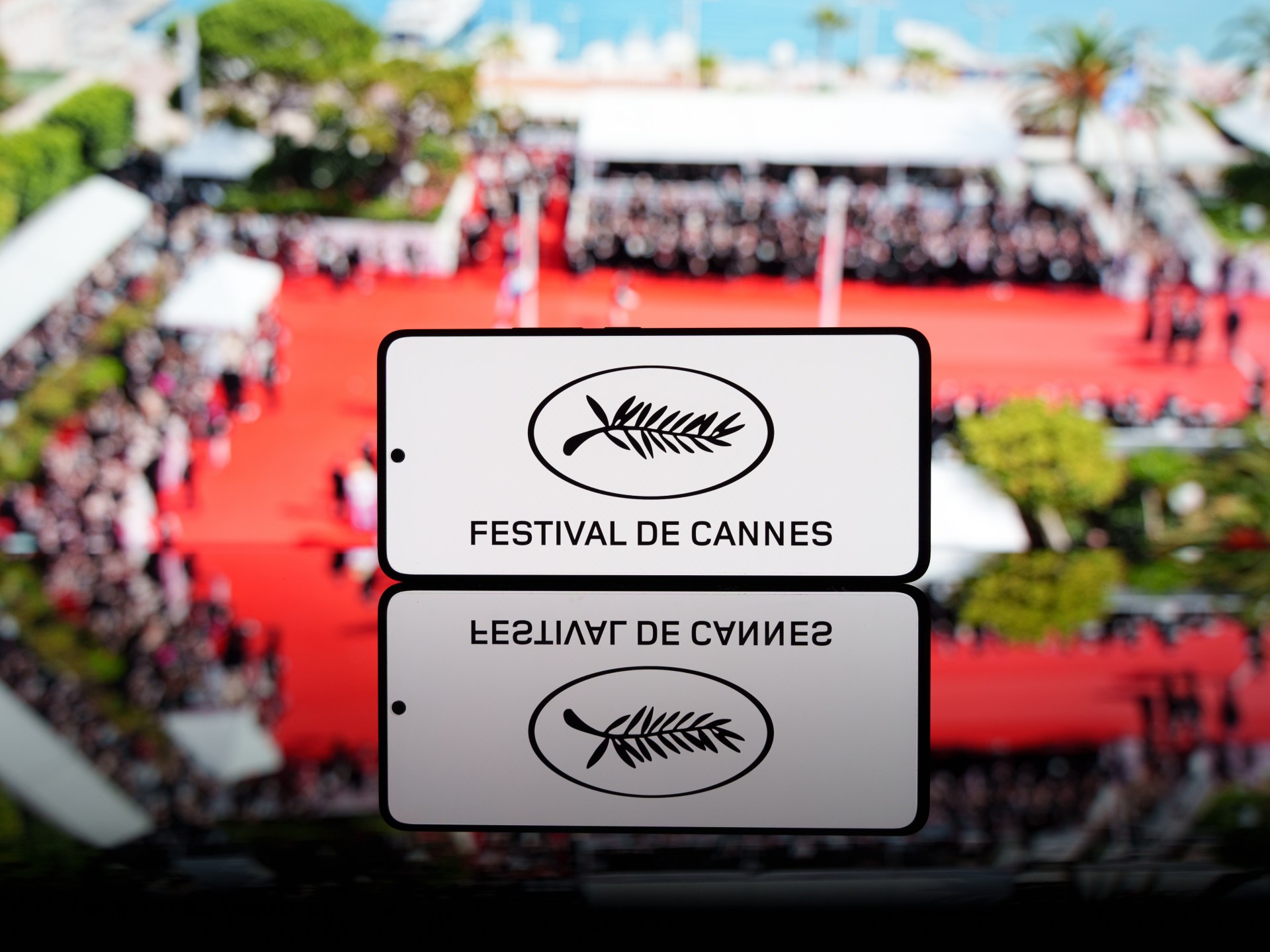 لأسباب تتعلق بالاحتشام.. قواعد جديدة في الدورة الـ78 لمهرجان كان السينمائي