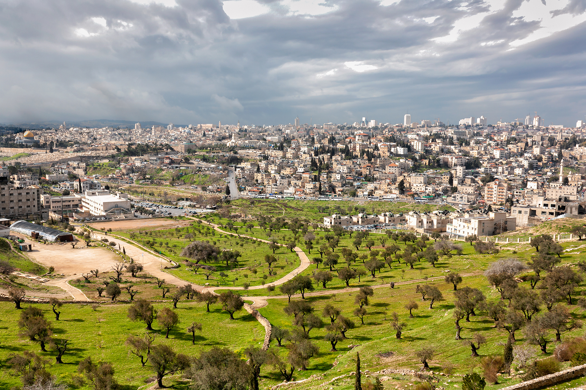 جبل المشارف: تاريخ القدس العريق تحت تهديد التهويد الاستيطاني