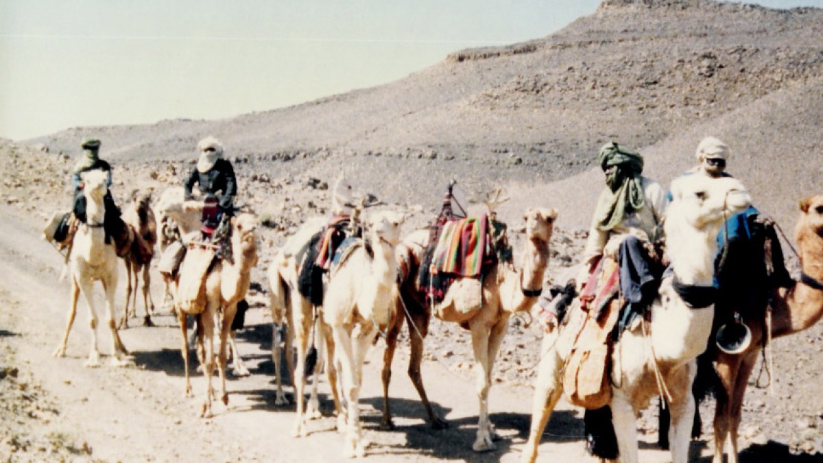 رحلة الإيمان الأفريقية: تاريخ الحج من أفريقيا إلى مكة وتطوره عبر العصور