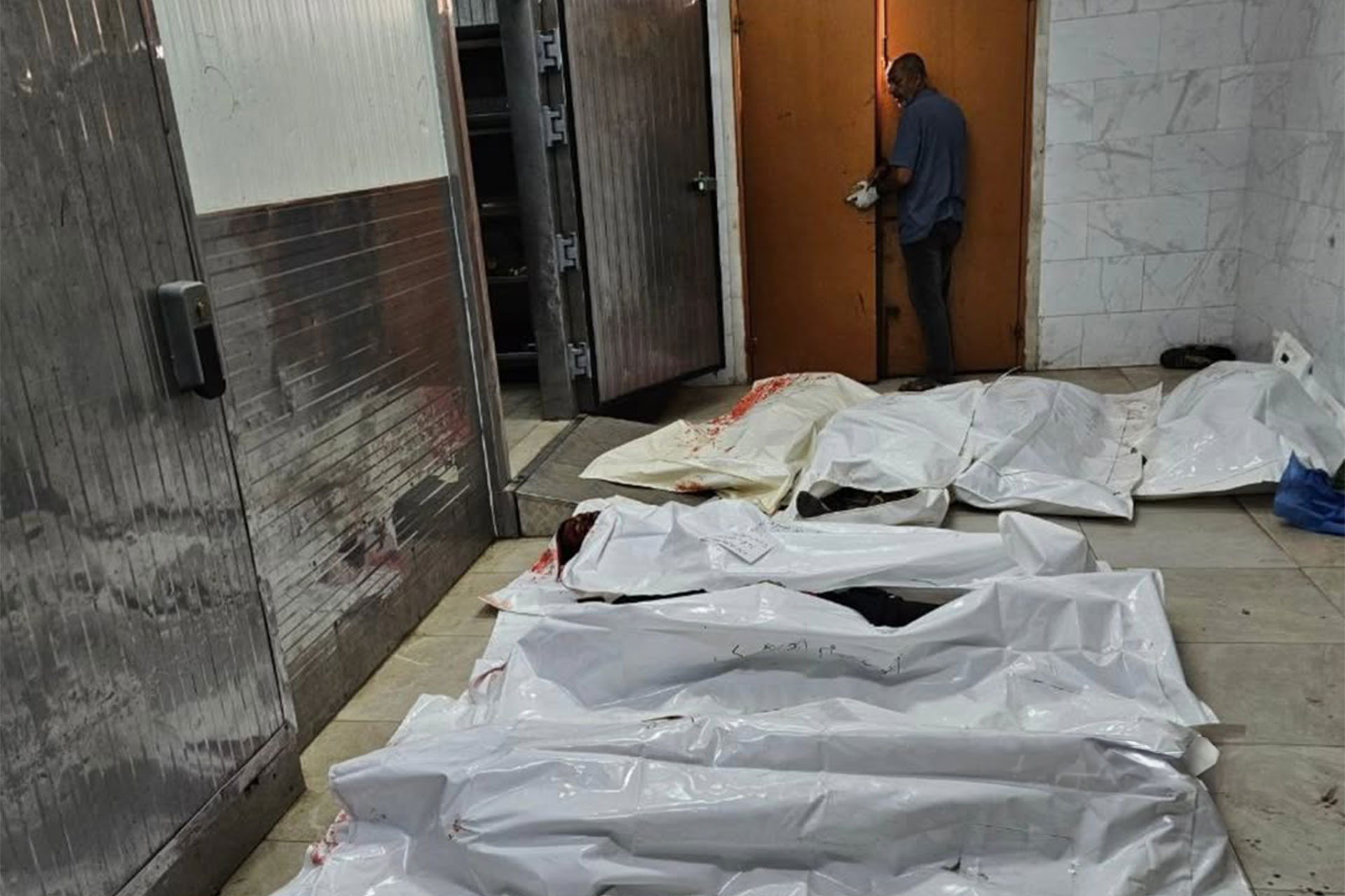 **تفنيد الرواية الإسرائيلية: شهادات دولية تكشف حقيقة ضحايا المساعدات في غزة وتداعياتها**