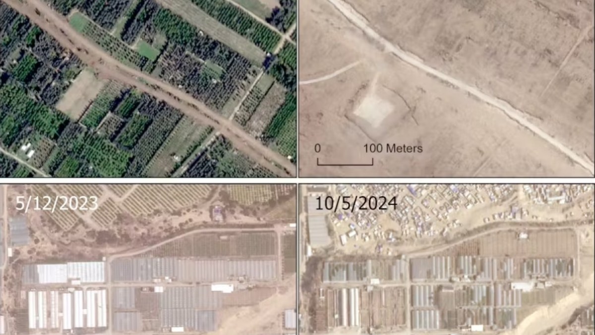 غزة: “إبادة زراعية وبيئية”.. تدمير ممنهج للأراضي يهدد مستقبل القطاع