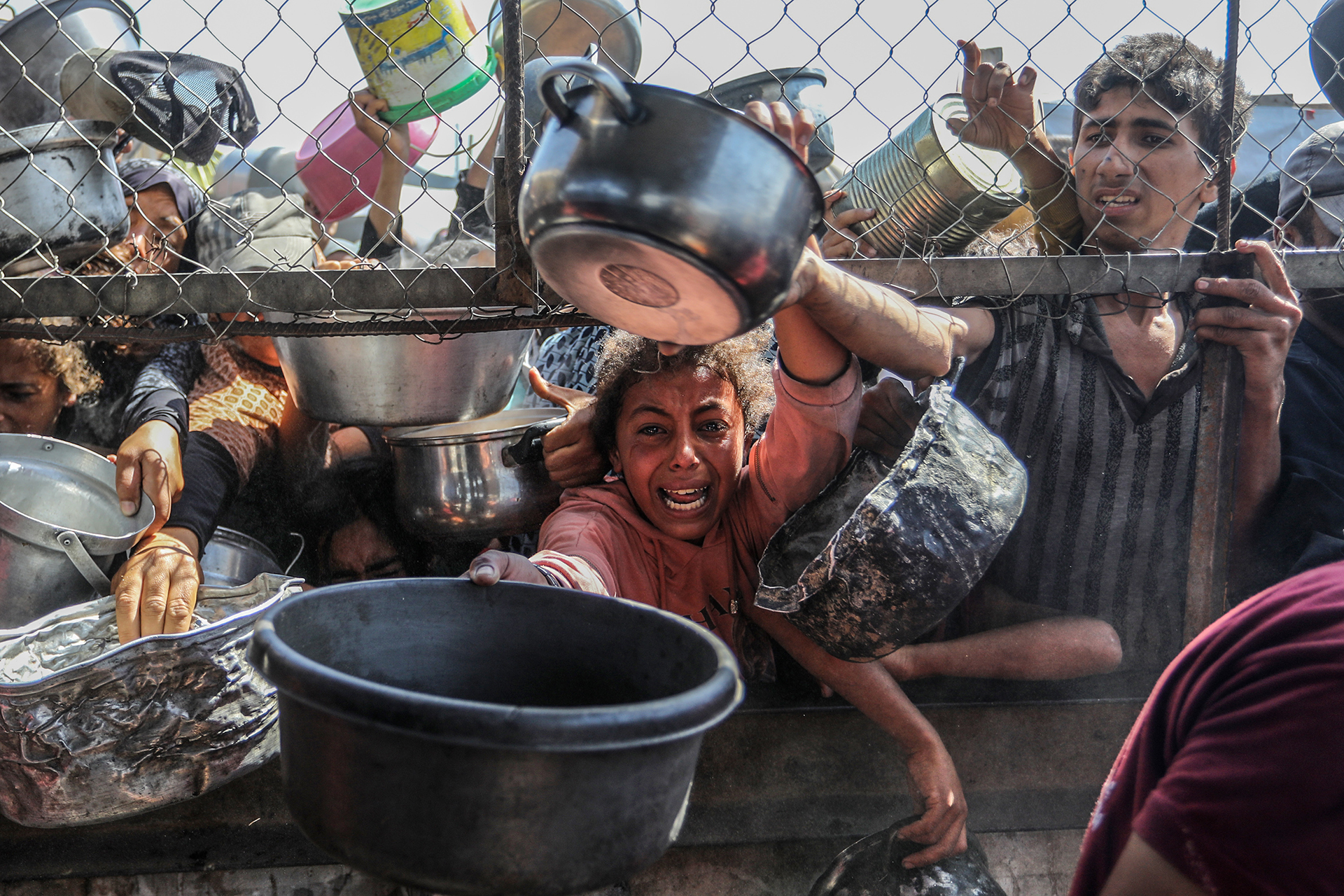 تلغراف: داخل وكالة المساعدات التي تزرع الخوف والفوضى في غزة