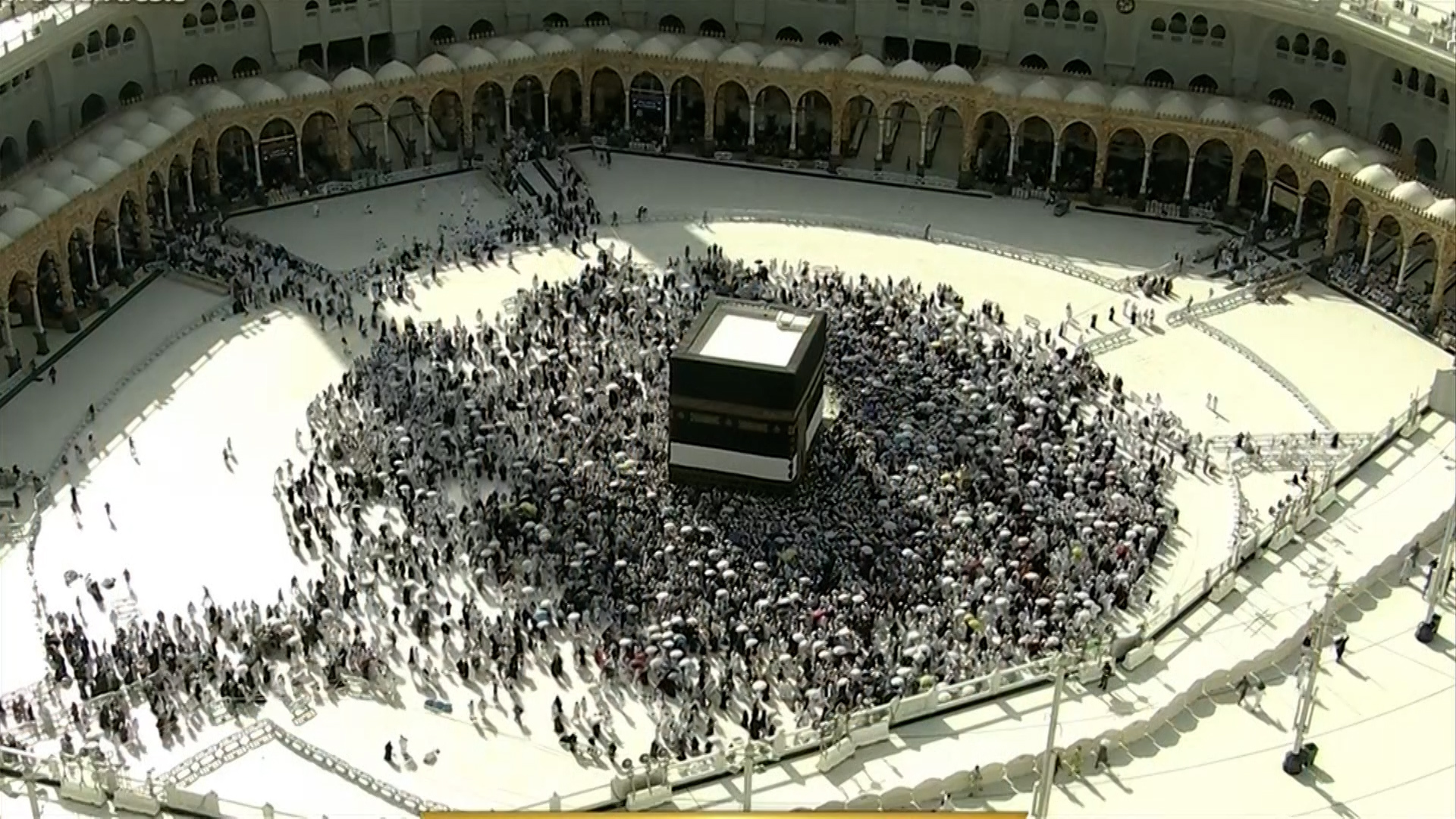 الحجاج يستعدون لقضاء يوم التروية غدا الأربعاء