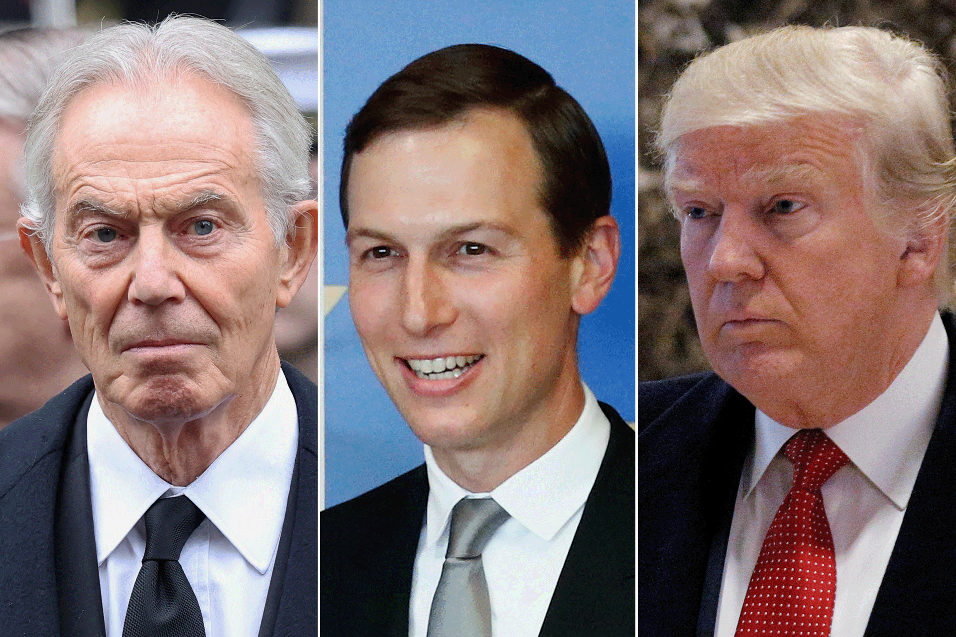 مجلس السلام