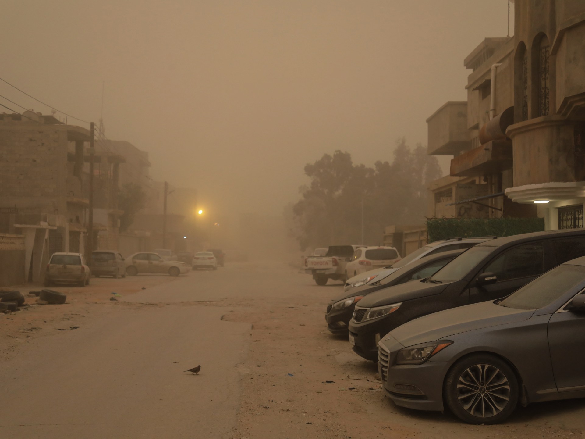 استنفار عربي لمواجهة تقلبات جوية حادة: سيول في السعودية وطوارئ بليبيا وثلوج تعزل المغرب