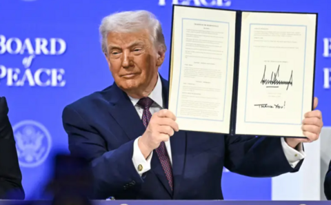 مجلس السلام