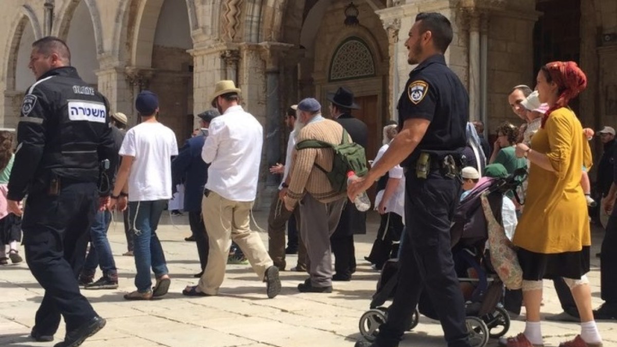 280 اقتحاما للأقصى ومنع الأذان 769 مرة بـ"الإبراهيمي" خلال 2025