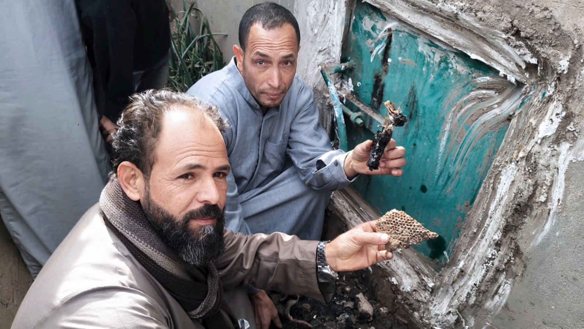 دهشة واستغراب بعد العثور على خلايا نحل داخل مقبرة بمصر