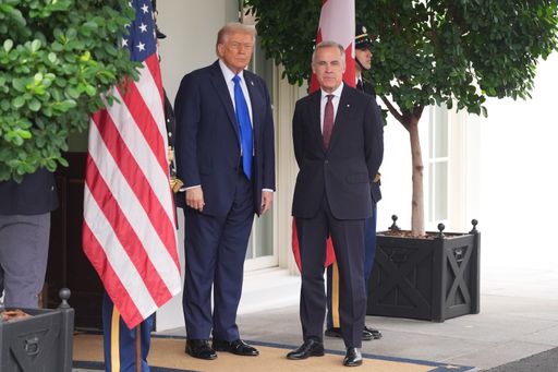 مجلس السلام