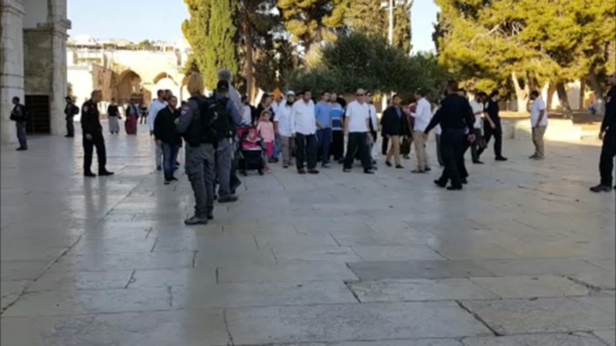 تصعيد خطير في القدس: عضو كنيست يقود اقتحامات المسجد الأقصى وقرارات إبعاد تطال المقدسيين