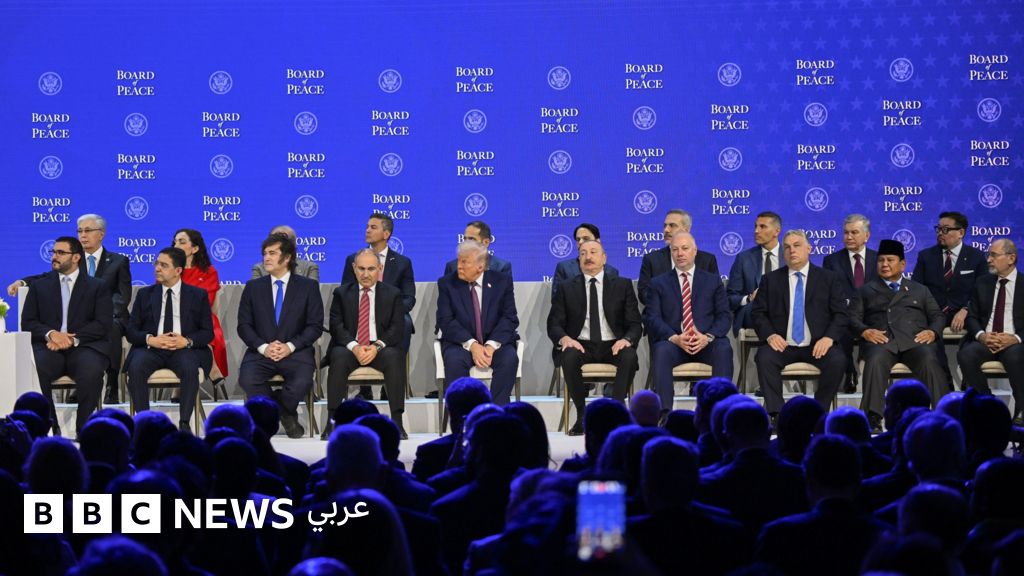 مجلس السلام