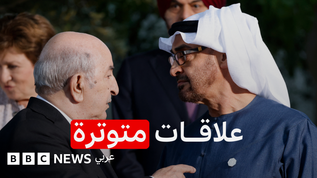 اتفاقية النقل الجوي بين الجزائر والإمارات