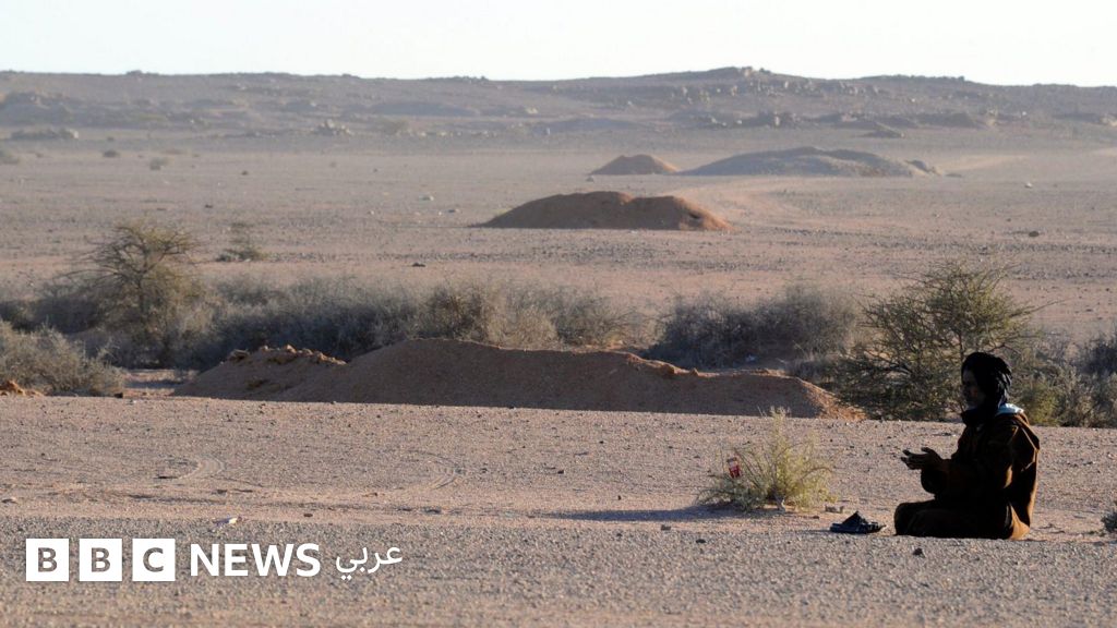 خارطة طريق مدريد 2026: تفاصيل الاجتماع الدولي لتفعيل الحكم الذاتي في الصحراء الغربية