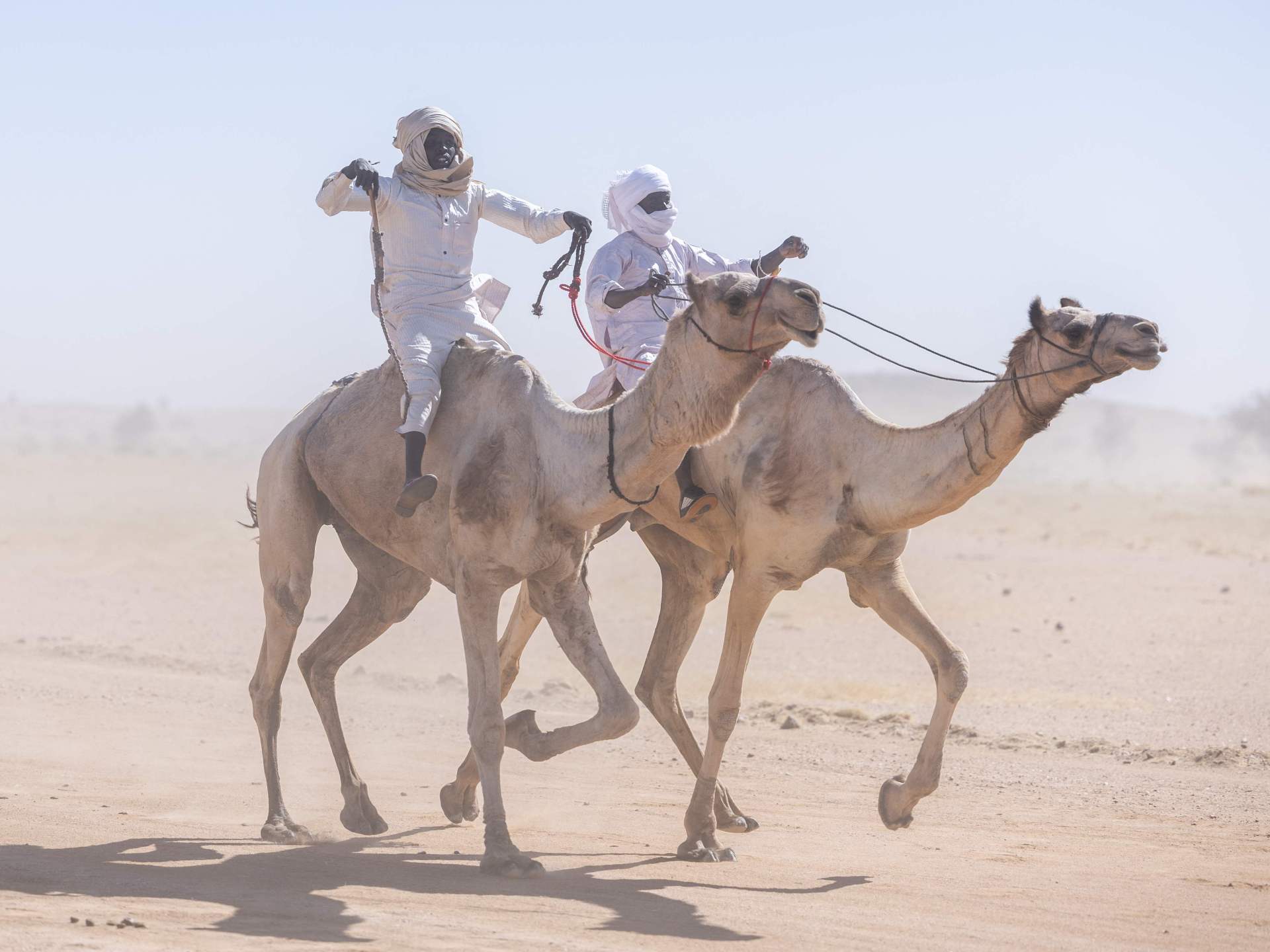 مهرجان أم جرس الدولي لثقافات الصحراء