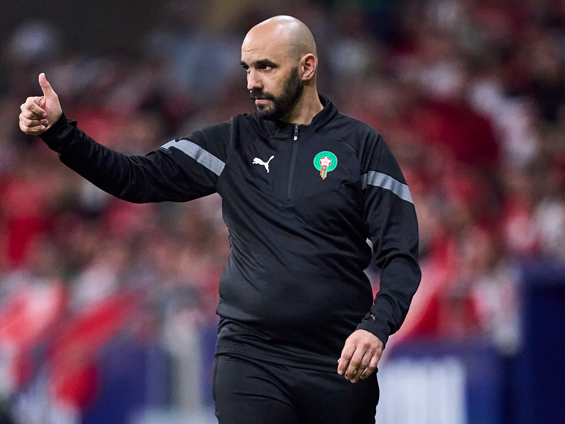 هل يغادر أسود الأطلس؟ وليد الركراكي مرشح “فوق العادة” لتدريب أولمبيك مرسيليا