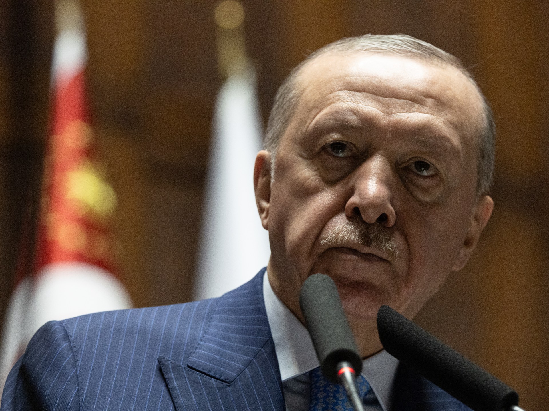 تركيا والنظام العالمي الجديد