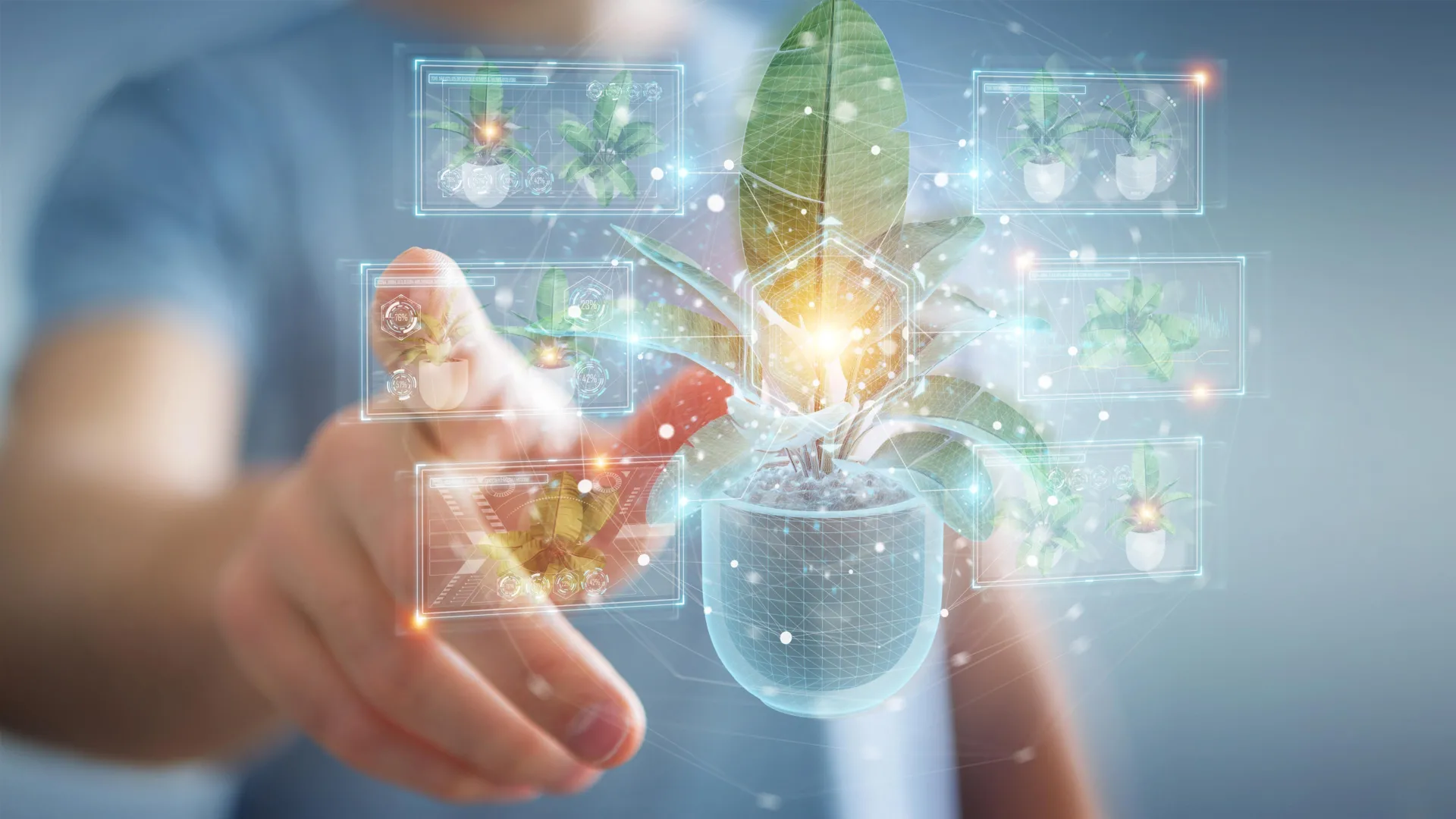 التخليق الحيوي لأشباه القلويات