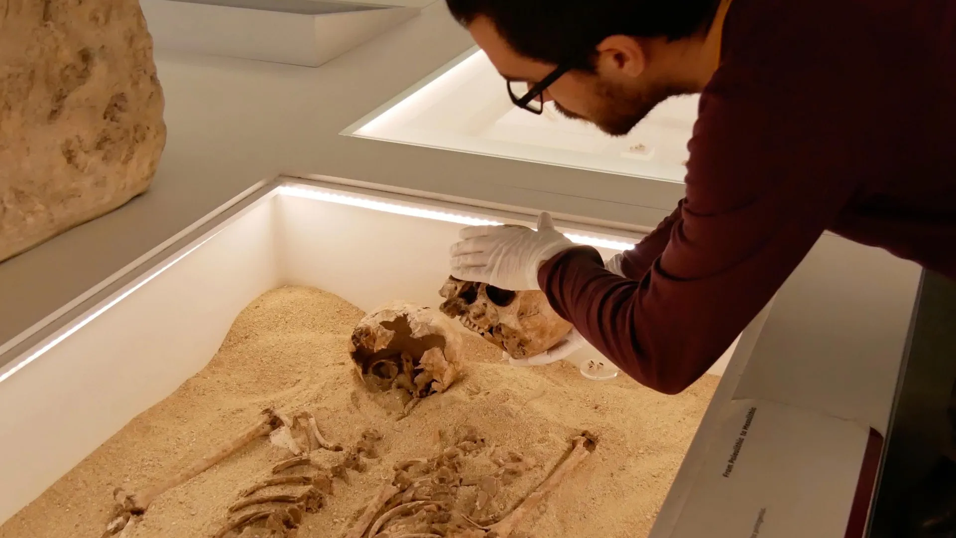 علم الجينوم القديم