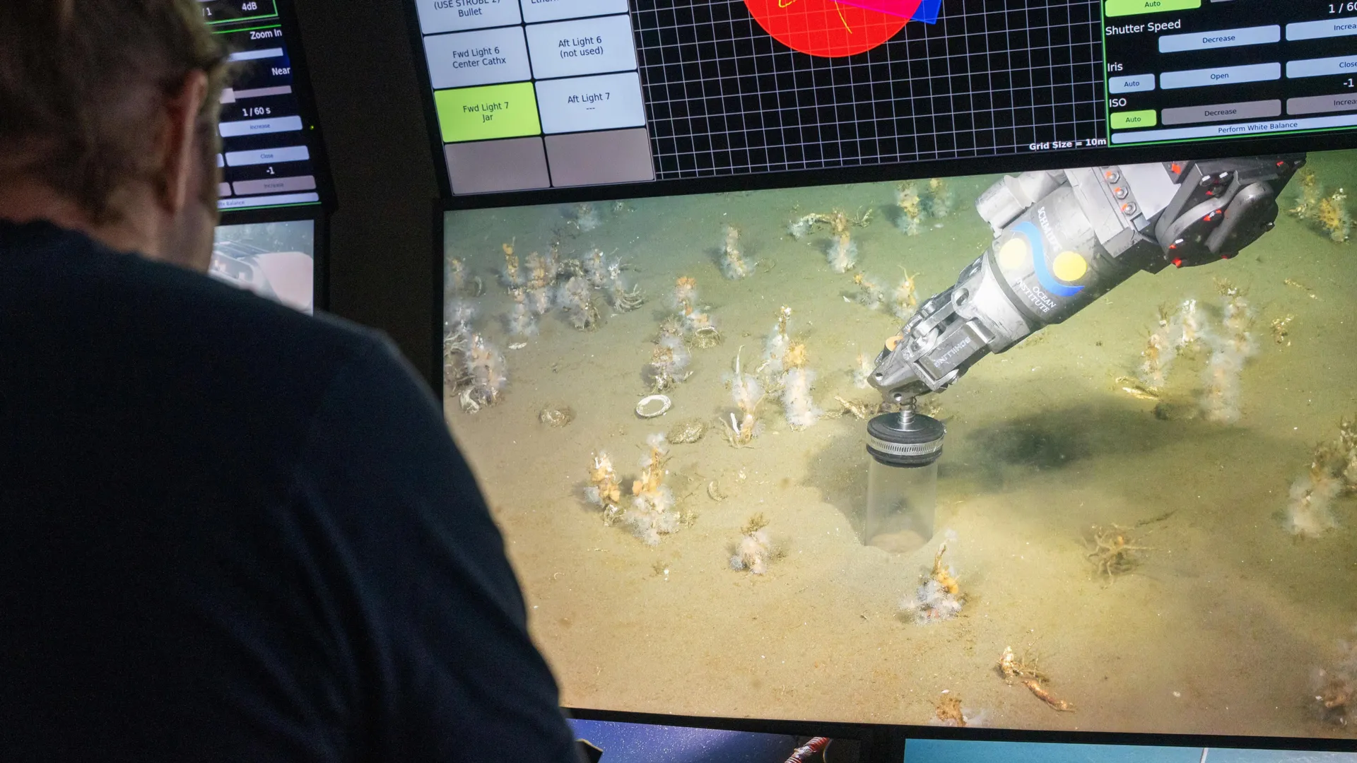 اكتشاف الأسلاف «المحبة للأكسجين» لجميع أشكال الحياة المعقدة: فك لغز نشأة حقيقيات النوى