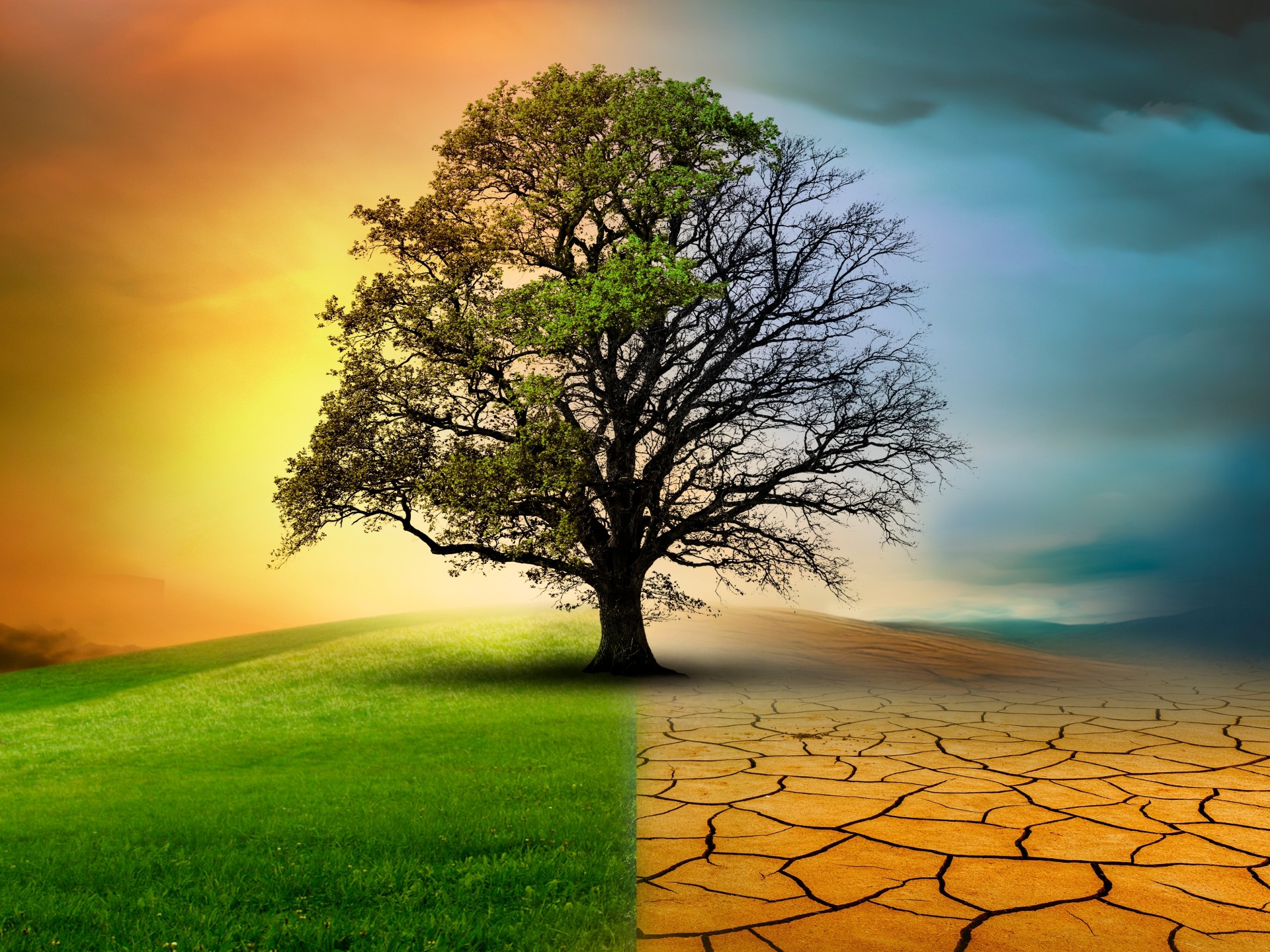 لماذا يتباطأ محرك الطبيعة؟ دراسة صادمة تكشف تدهور التنوع الحيوي رغم غليان المناخ