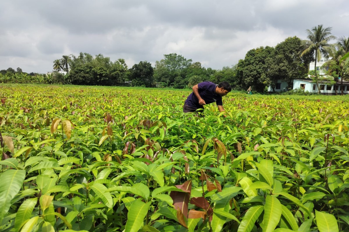 شركة “فاراها” الهندية لتكنولوجيا المناخ تجمع 20 مليون دولار لتعزيز مشاريع إزالة الكربون في الأسواق الناشئة