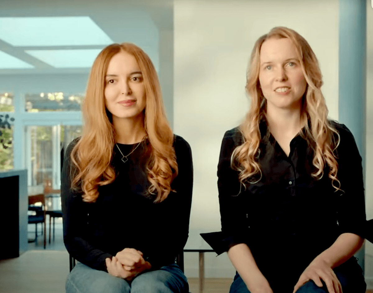 Ricursive Intelligence