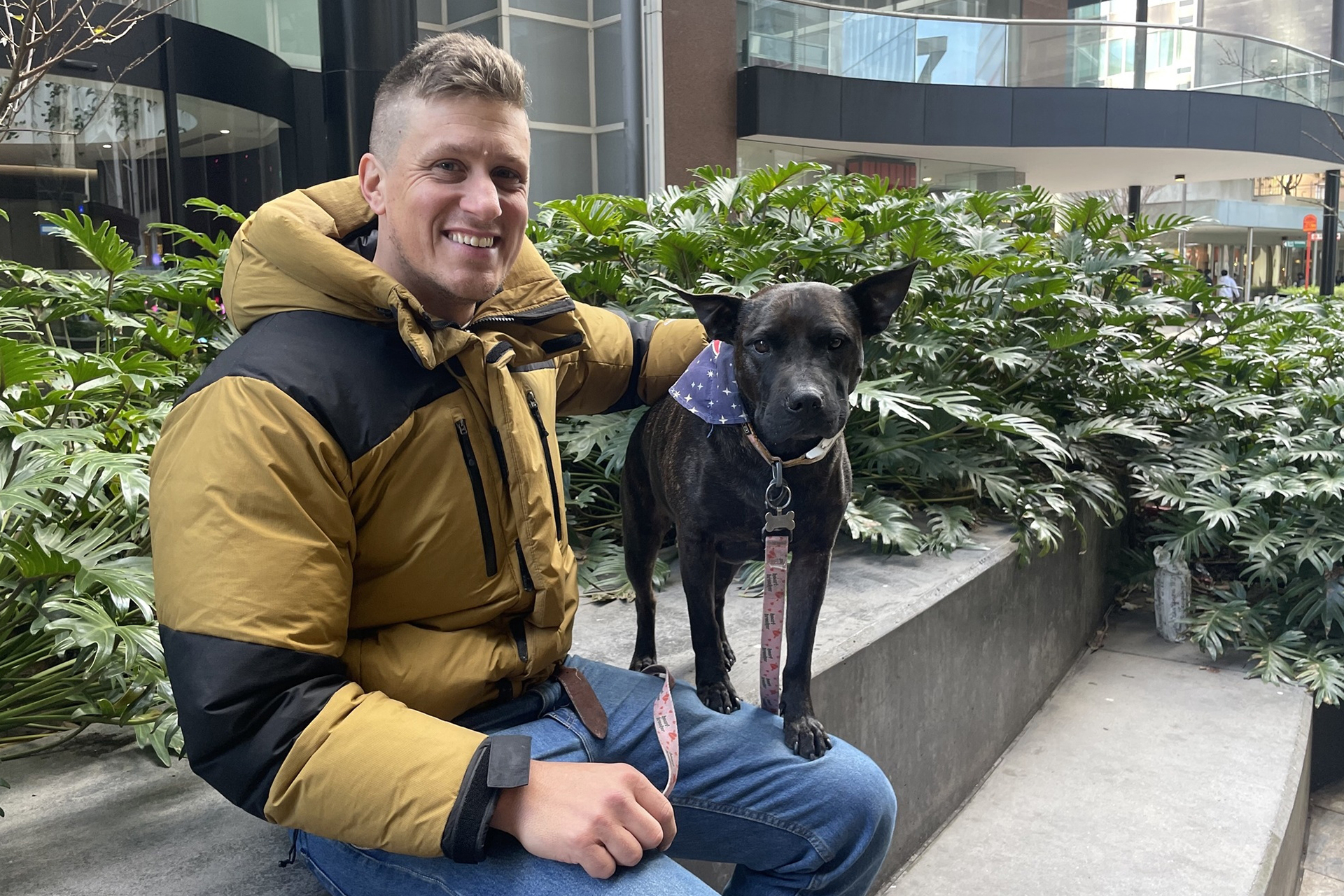 معجزة طبية مذهلة.. كيف أنقذ “تشات جي بي تي” كلبة من السرطان بلقاح mRNA؟