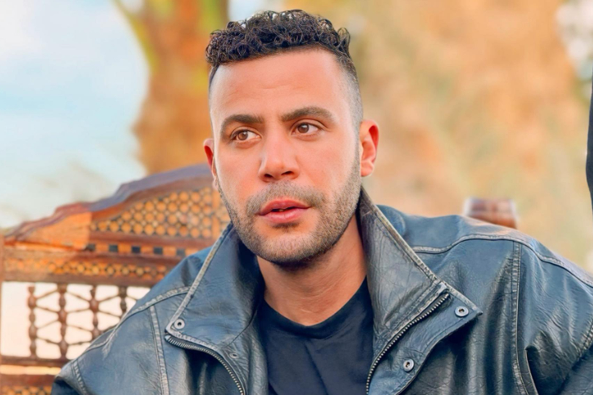 مسلسل الكينج محمد عادل إمام