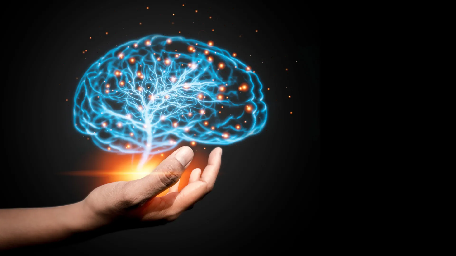 اكتشاف “قوة خفية” تشكل الدماغ: كيف تنظم صلابة الأنسجة الإشارات الكيميائية أثناء النمو العصبي؟