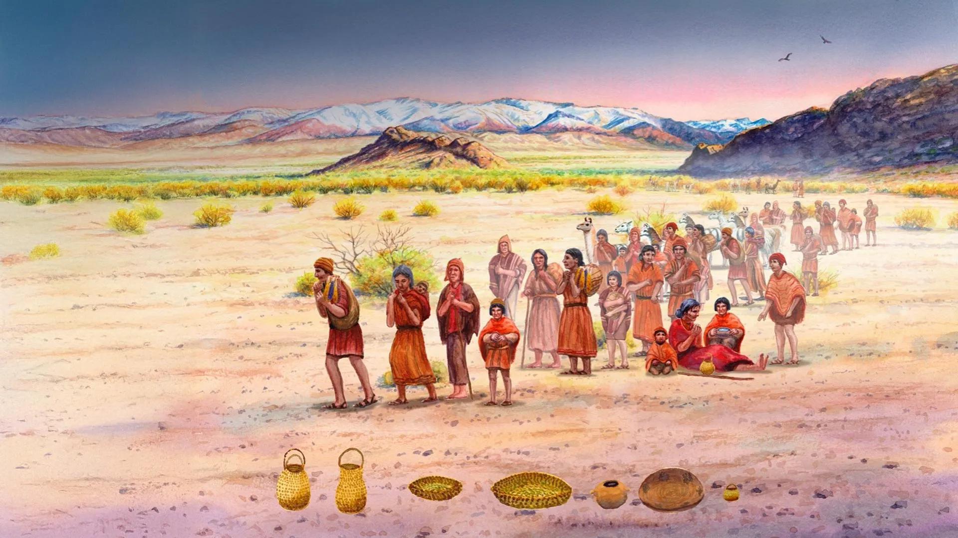 الحمض النووي القديم يكشف أسرار التحول الزراعي والصمود الاجتماعي في جبال الإنديز