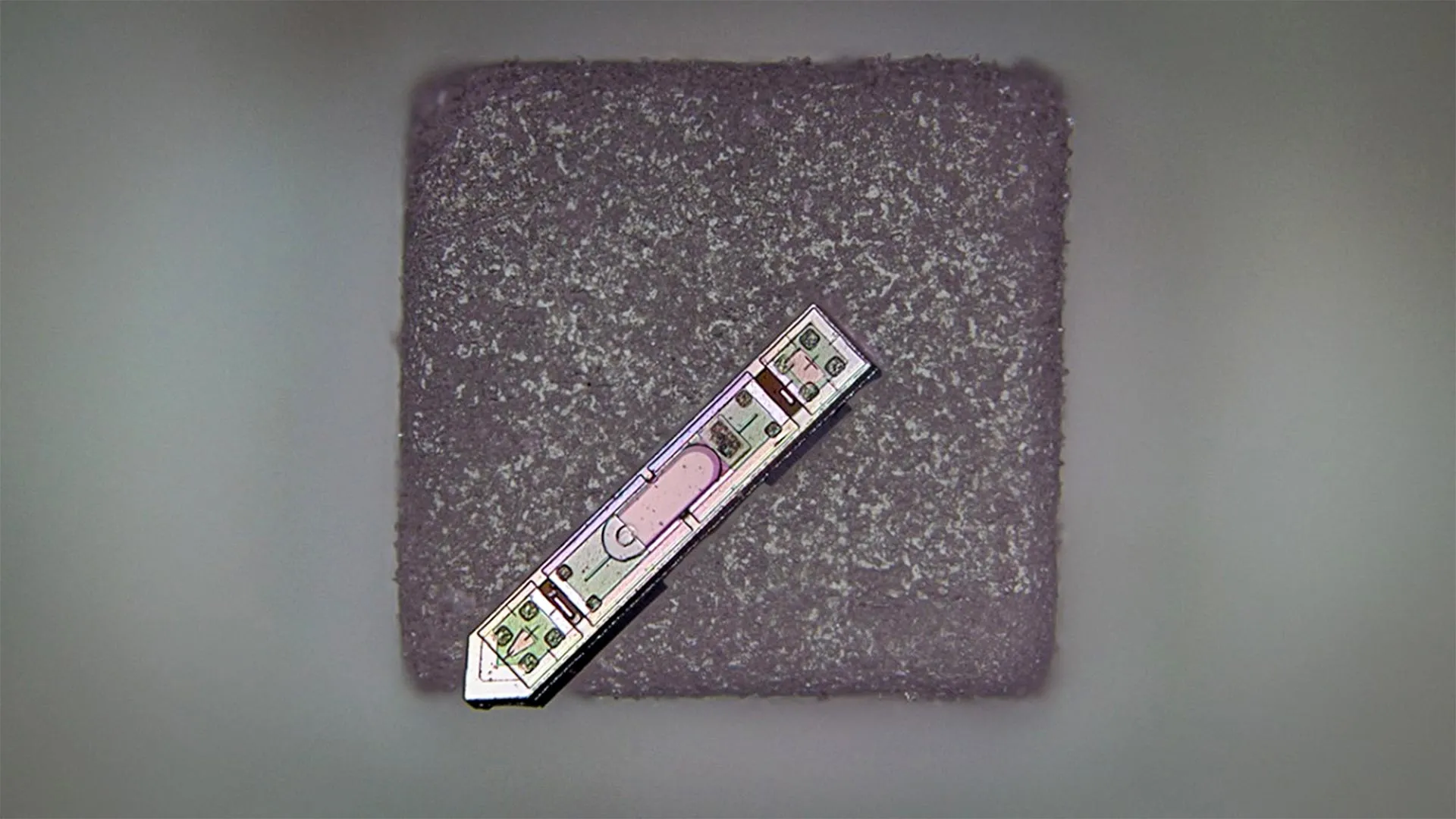 الغرسات العصبية المجهرية