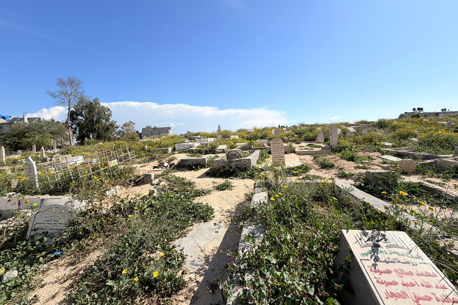 تدمير المقابر في غزة