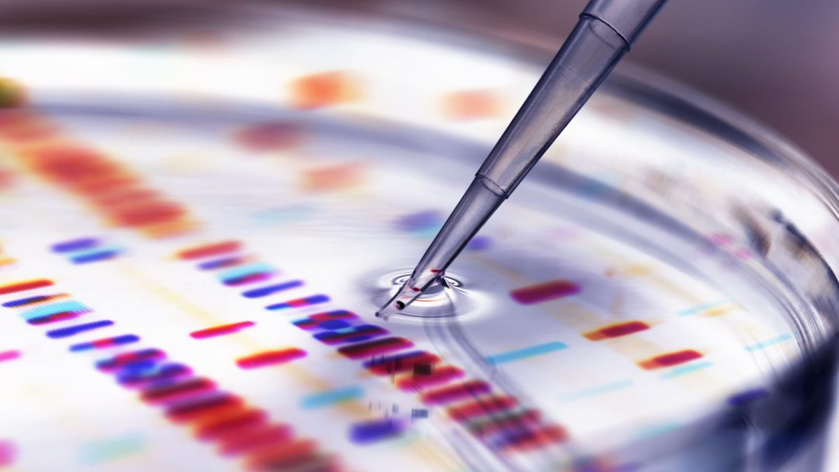 هل يفتقر العلماء لروح الدعابة؟ دراسة جديدة تحلل أداء “الفكاهة” في المؤتمرات العلمية