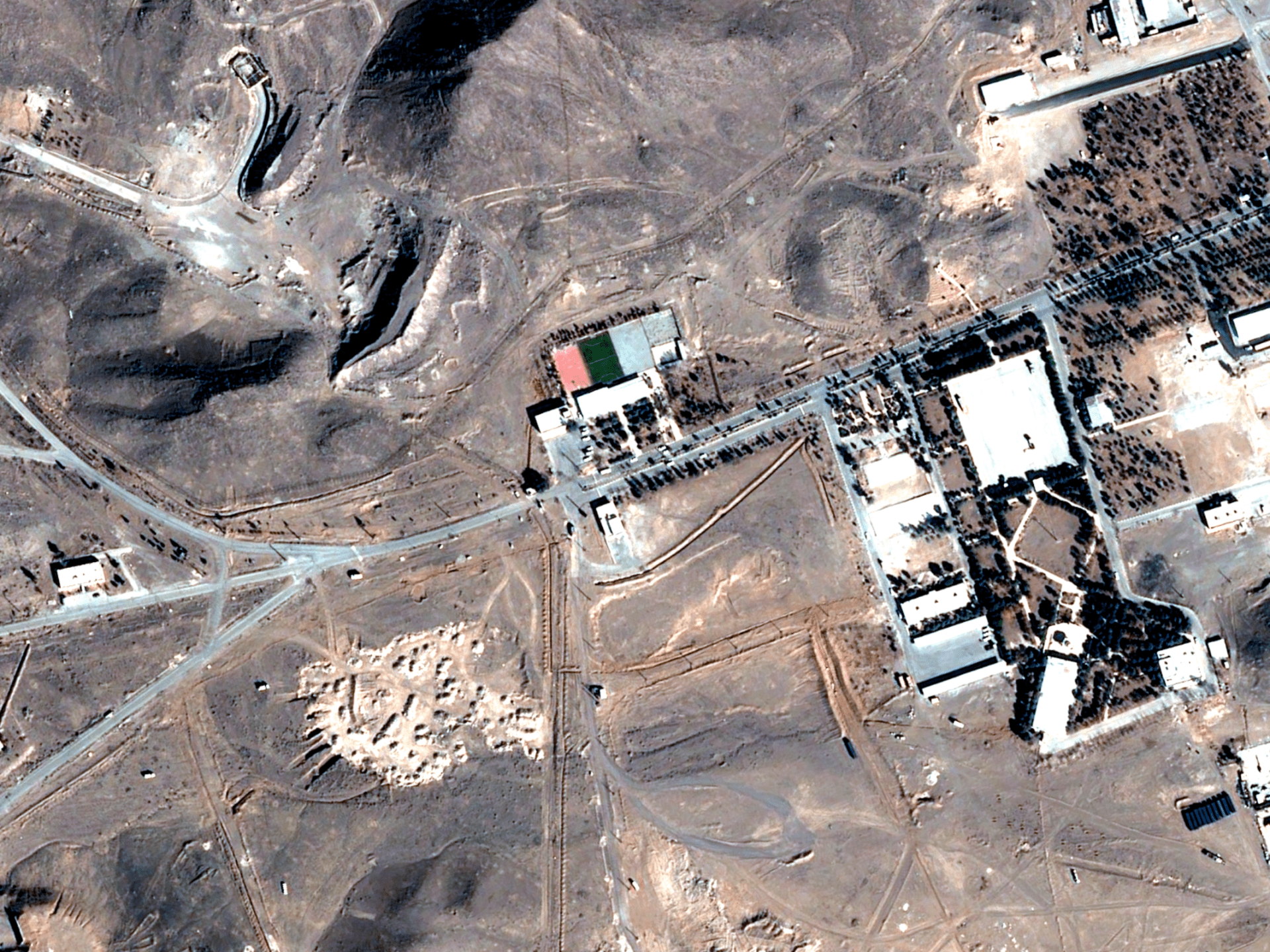 حامية أمير المؤمنين