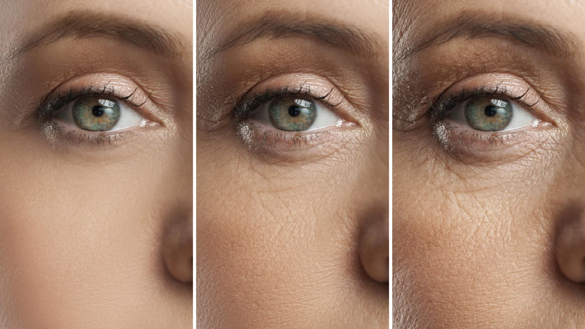 إكسير البصر المفقود: كيف تعيد الأحماض الدهنية ترميم شيخوخة العين؟