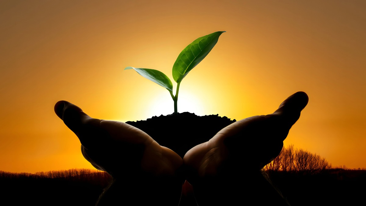 الإيجابية في الإسلام