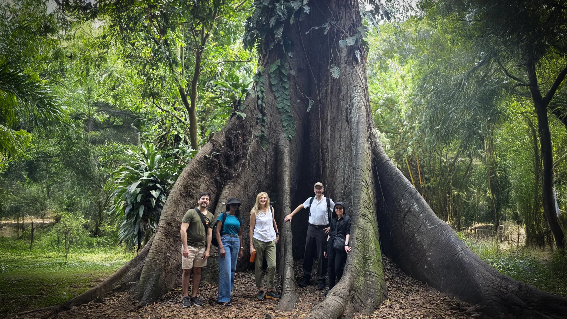 انبعاثات الكربون من الغابات الأفريقية