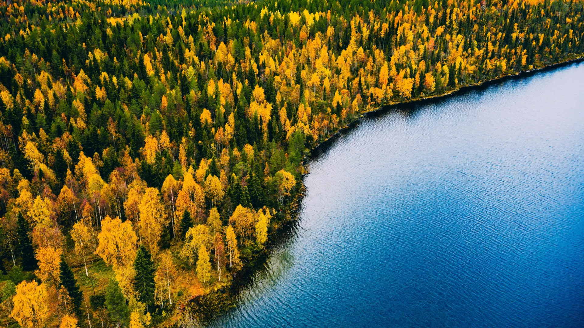 دوغر لاند (Doggerland)