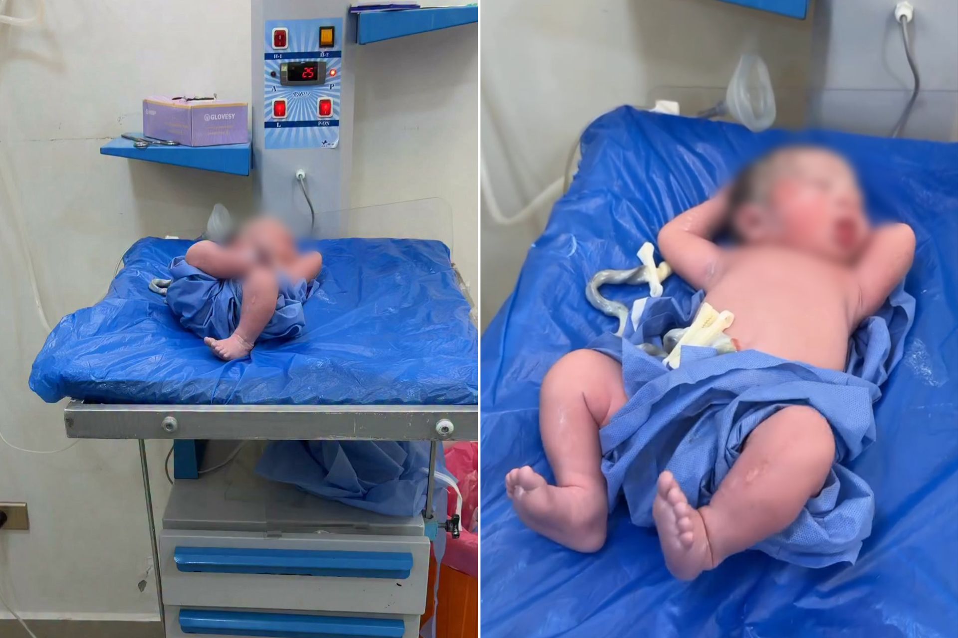 الملك المصري الرضيع