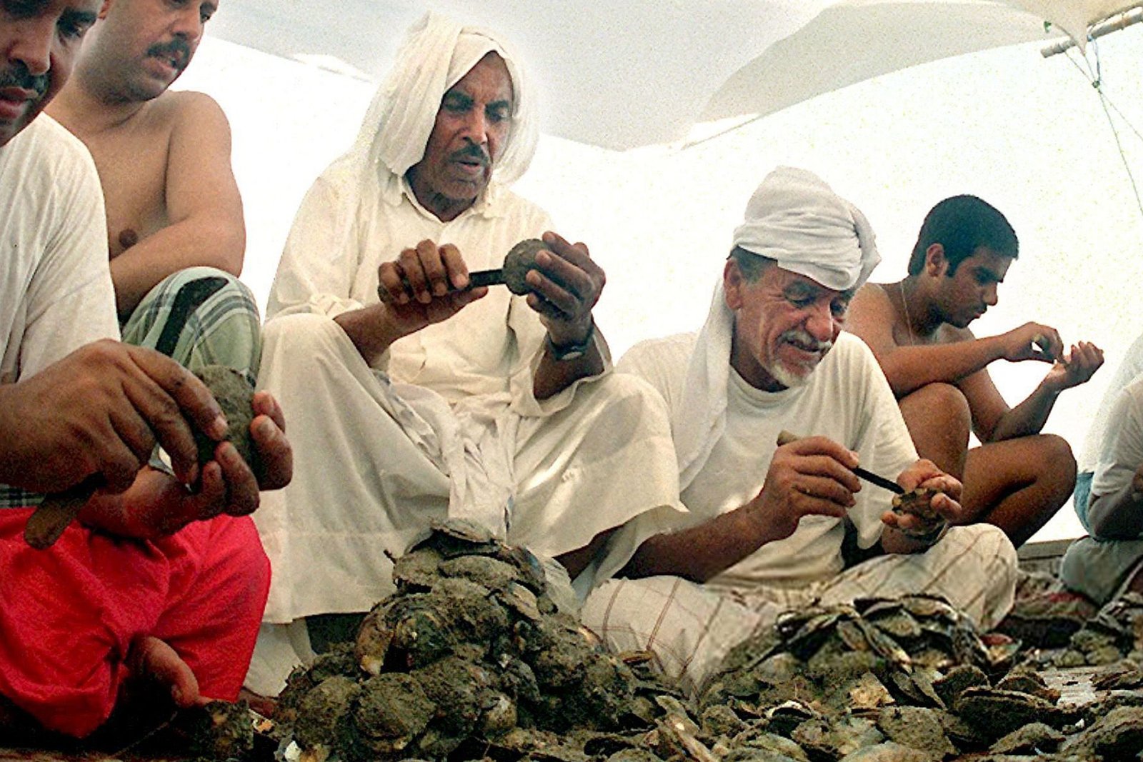 أغاني الغوص في الخليج